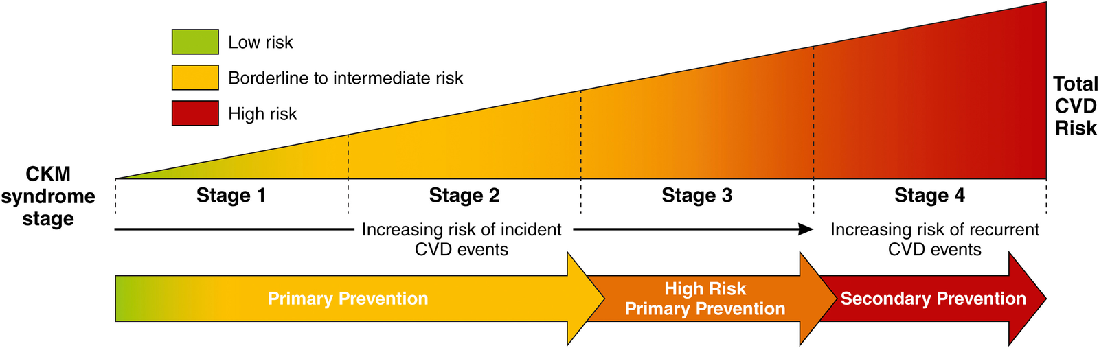 Estadios CKM 1–4 con riesgo cardiovascular creciente, de la prevención primaria a la secundaria